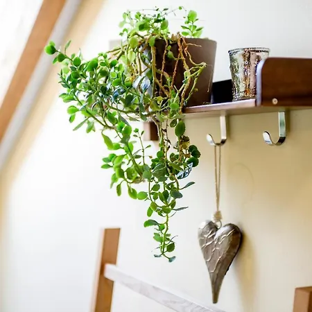 Appartement Exklusiv Scheichl *