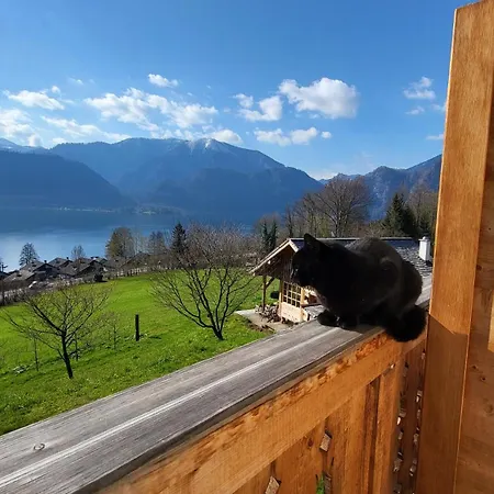 施切尔独特公寓 公寓