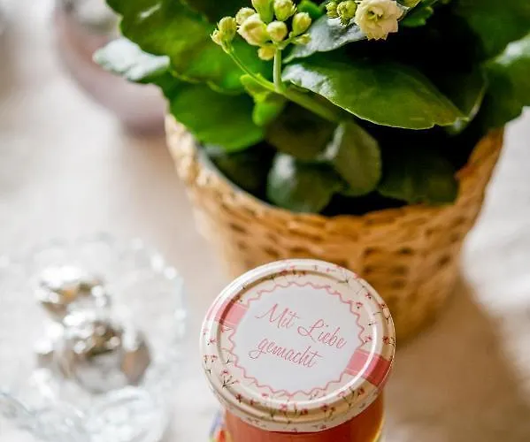 公寓 施切尔独特公寓 *