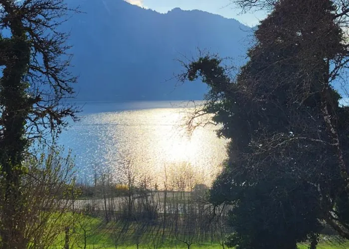 Exklusiv Scheichl Unterach am Attersee