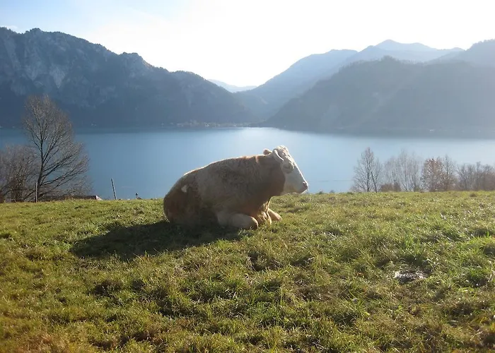 公寓 施切尔独特公寓 *