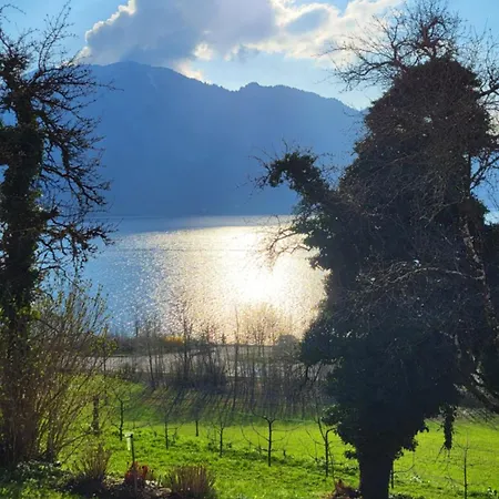 Exklusiv Scheichl Unterach am Attersee