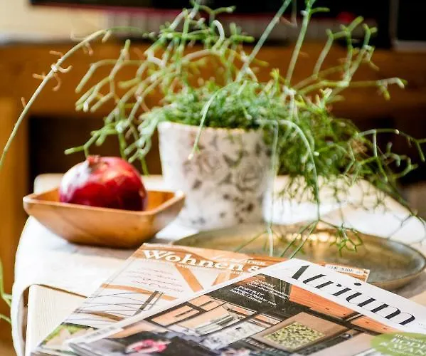 إكسكلوسيف شايخيل *