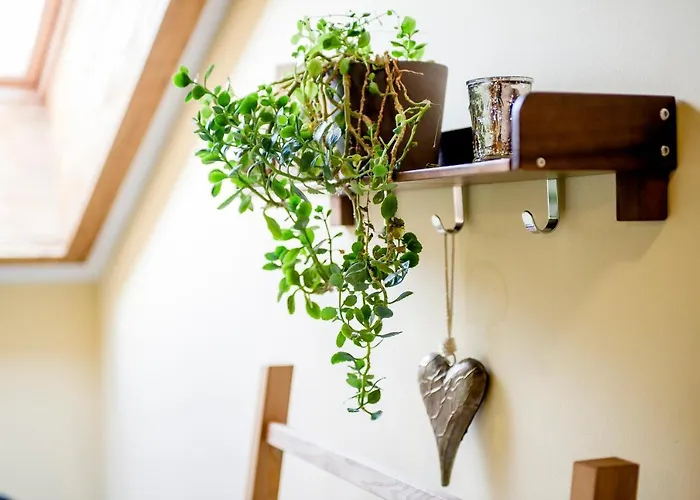 شقة إكسكلوسيف شايخيل *