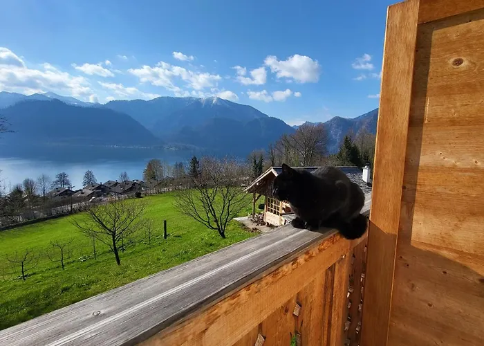 إكسكلوسيف شايخيل شقة